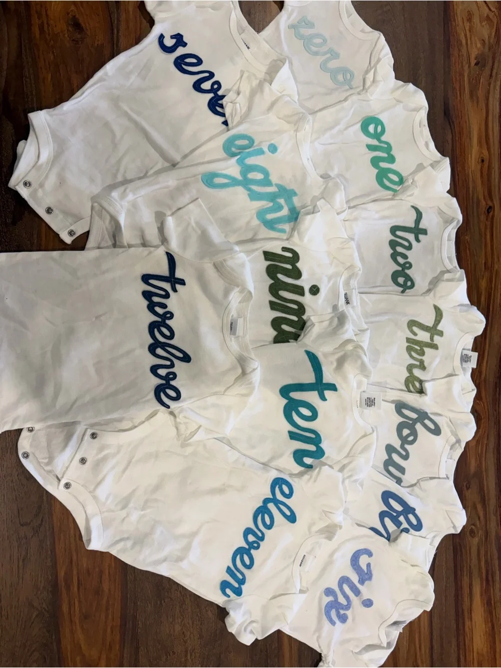 Baby monthly milestone onesies